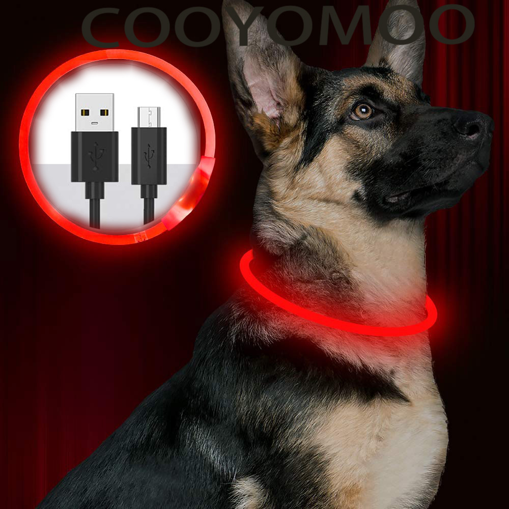 Tech Dog Accessories - Silicone LED Dog Collar Rechargeable 4