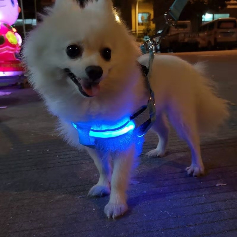 Tech Dog Accessories - Breathable Light Up LED Dog Harness