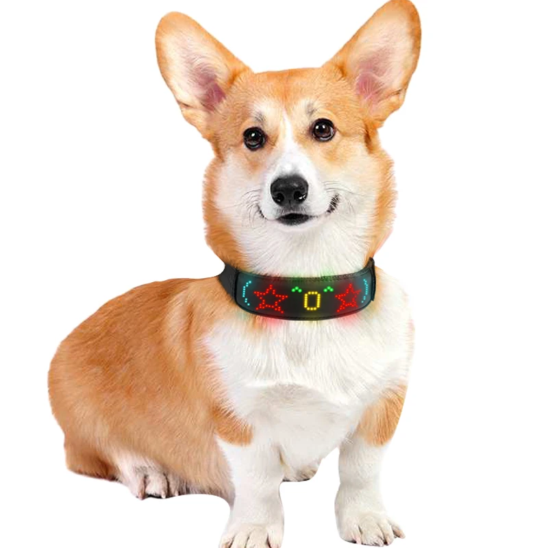 Multicolor Pet LED Dog Collars - Tech Dog Accessories recension och pris