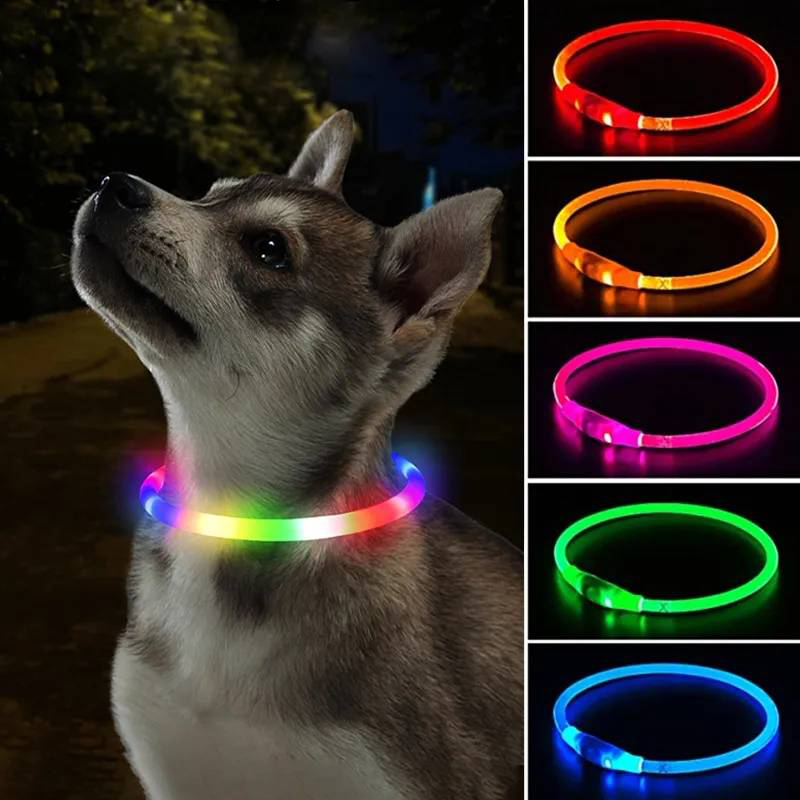 3 Modes Dog Luminou Charge Col - Tech Dog Accessories recension och pris