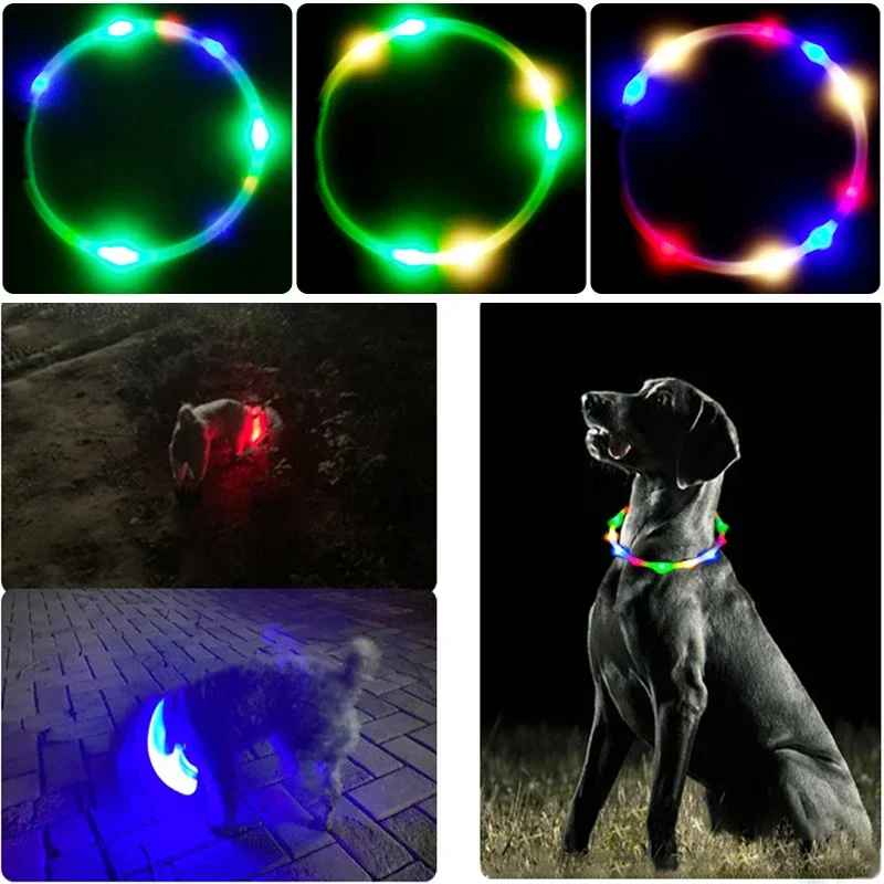 3 Modes Dog Luminou Charge Col - Tech Dog Accessories recension och pris
