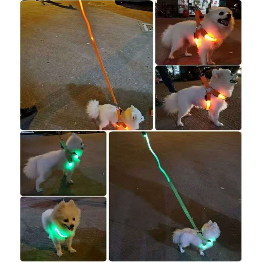 Breathable Light Up LED Dog Ha - Tech Dog Accessories recension och pris