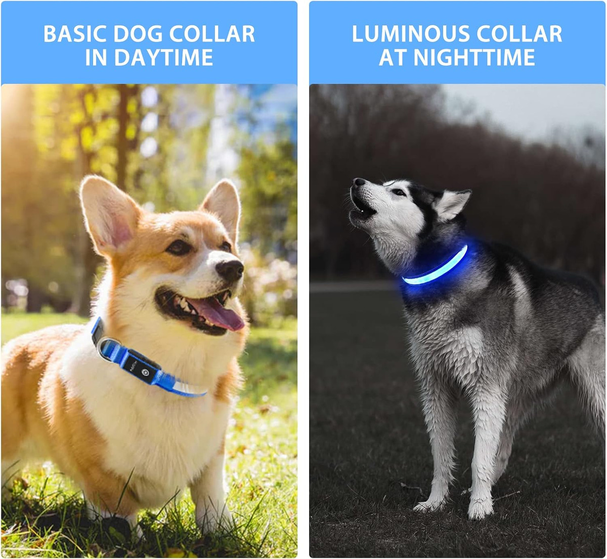 USB LED Dog Collar Lights - Ad - Tech Dog Accessories recension och pris