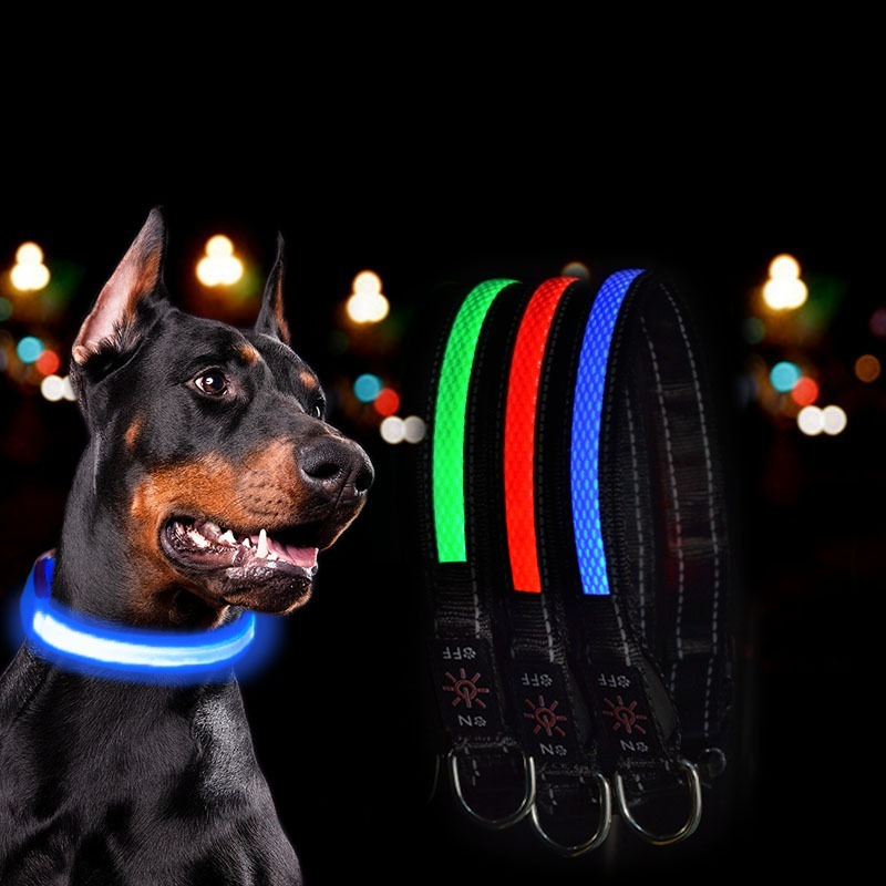 USB LED Dog Collar Lights - Ad - Tech Dog Accessories recension och pris