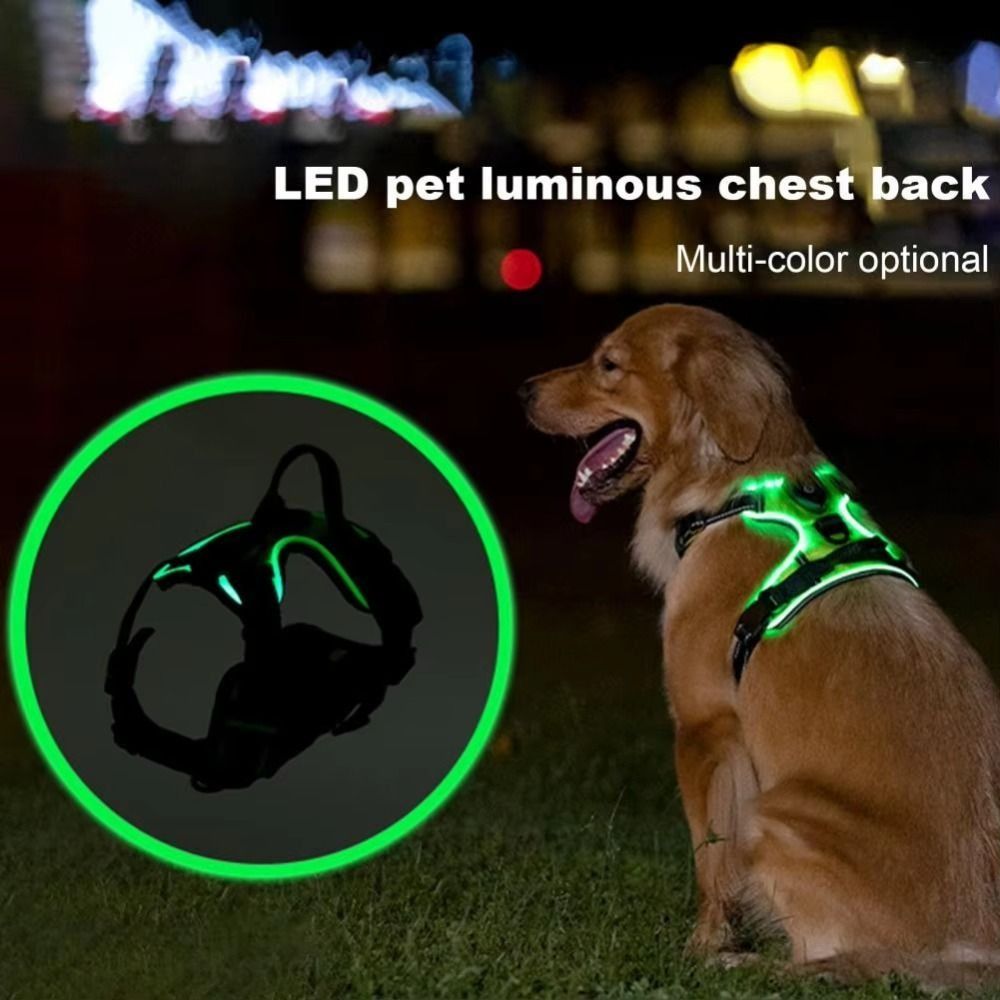 Durable Light Up LED Dog Harne - Tech Dog Accessories recension och pris