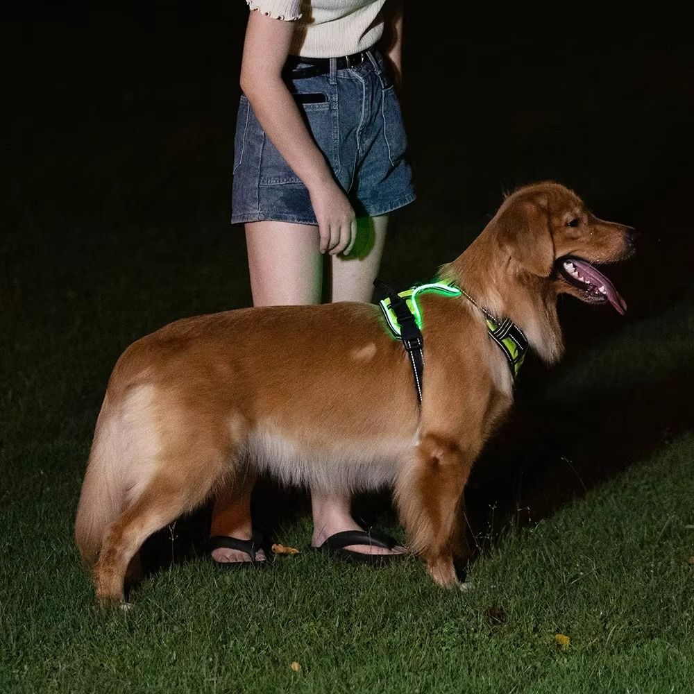 Durable Light Up LED Dog Harne - Tech Dog Accessories recension och pris