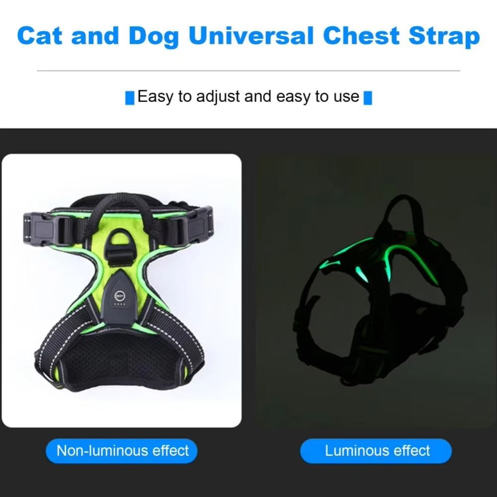 Durable Light Up LED Dog Harne - Tech Dog Accessories recension och pris