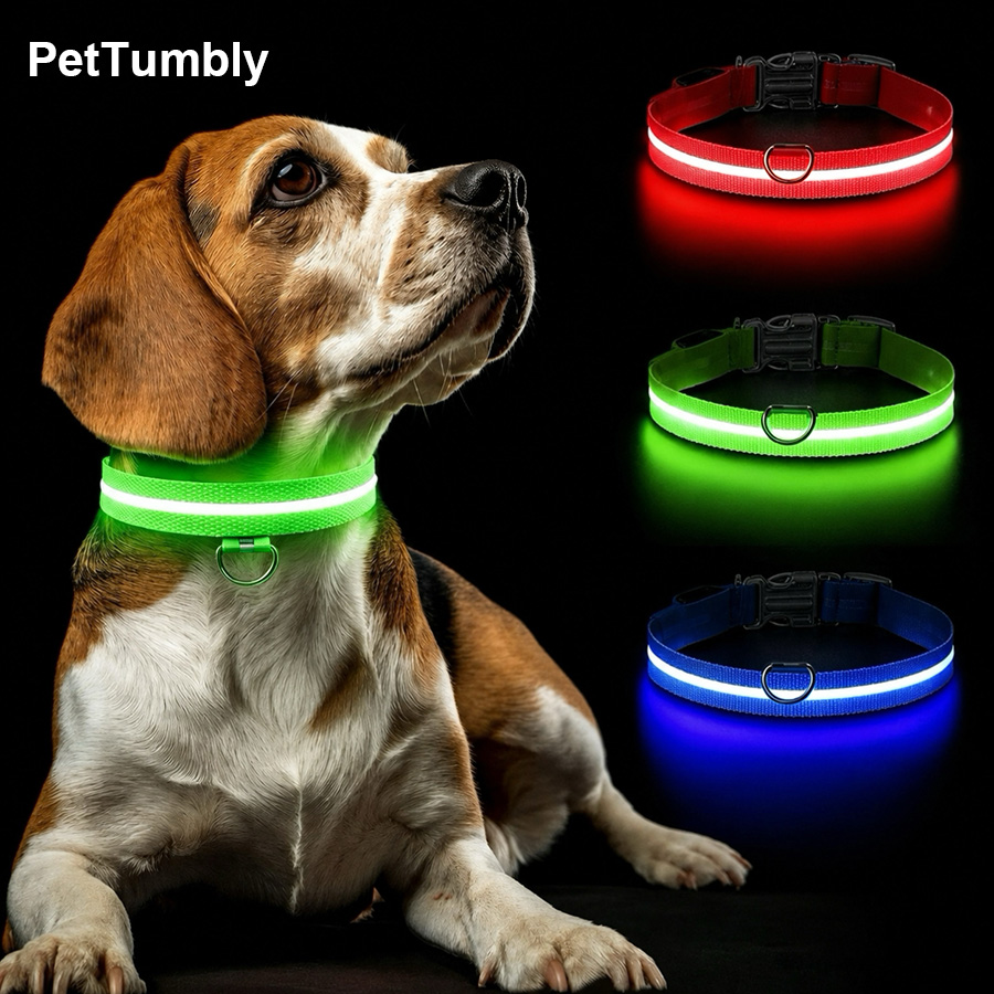 3 Modes Dog Luminous Charge Co - Tech Dog Accessories recension och pris