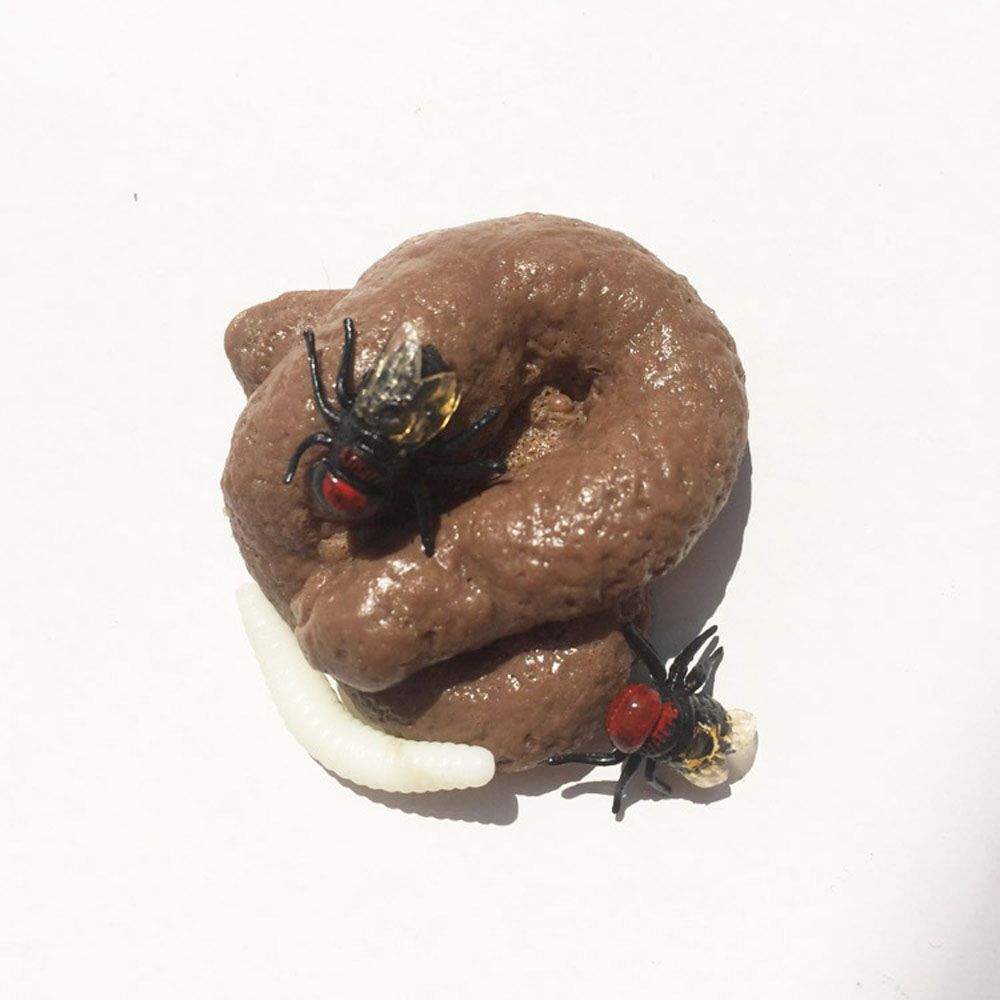 Prank Realistic Fake Shit Toys - Tech Dog Accessories recension och pris