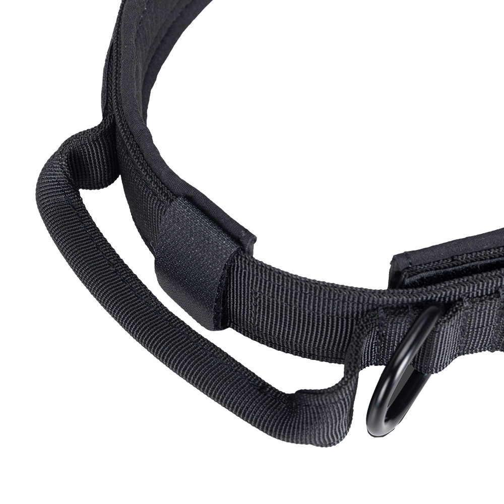 EXCELLENT ELITE SPANKER Dog Ta - Tech Dog Accessories recension och pris