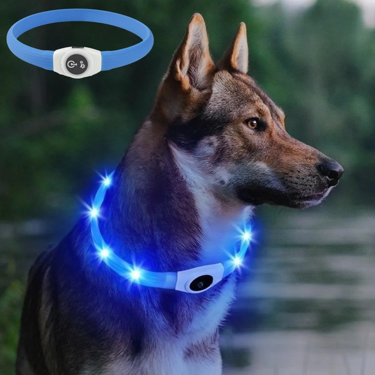 New Led Luminous Dog Collar PV - Tech Dog Accessories recension och pris