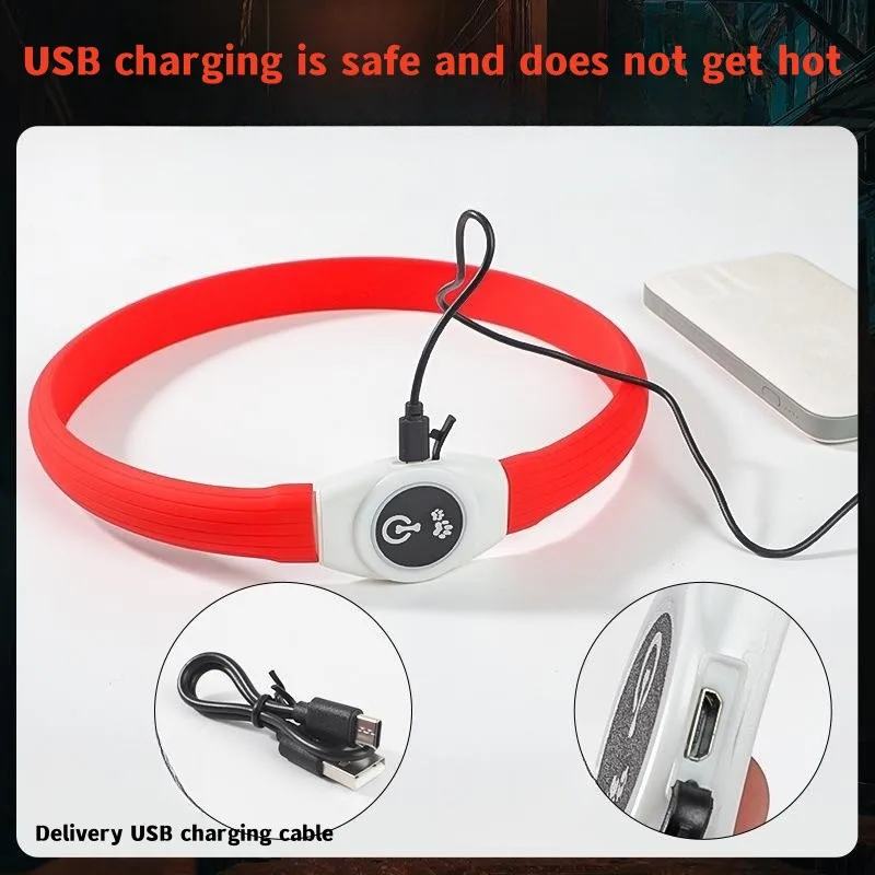 New Led Luminous Dog Collar PV - Tech Dog Accessories recension och pris