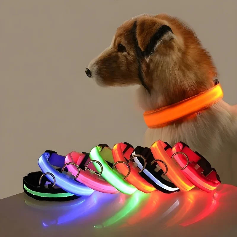 Dog Collar Nylon LED Night Saf - Tech Dog Accessories recension och pris