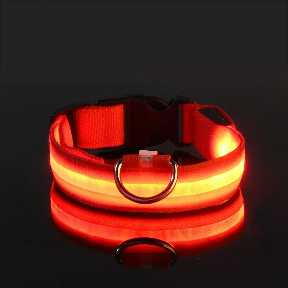 Dog Collar Nylon LED Night Saf - Tech Dog Accessories recension och pris
