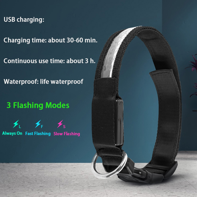 Engraved ID LED Dog Collar Lum - Tech Dog Accessories recension och pris
