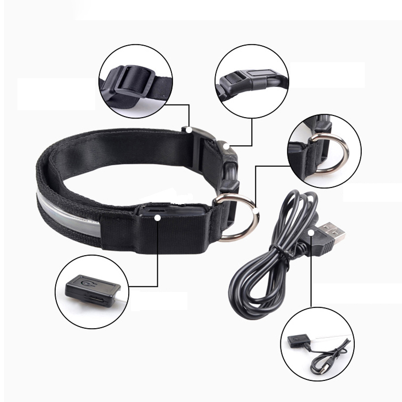 Engraved ID LED Dog Collar Lum - Tech Dog Accessories recension och pris