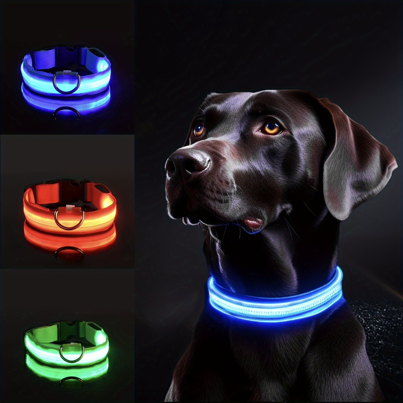 Reflective LED Dog Collar for  - Tech Dog Accessories recension och pris